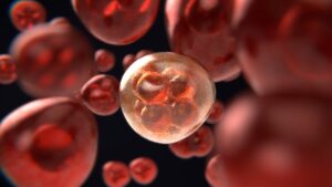 What, exactly, is cancer?